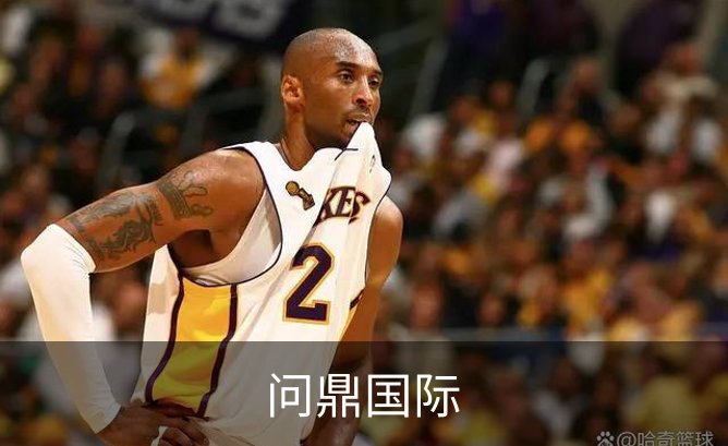问鼎国际简介